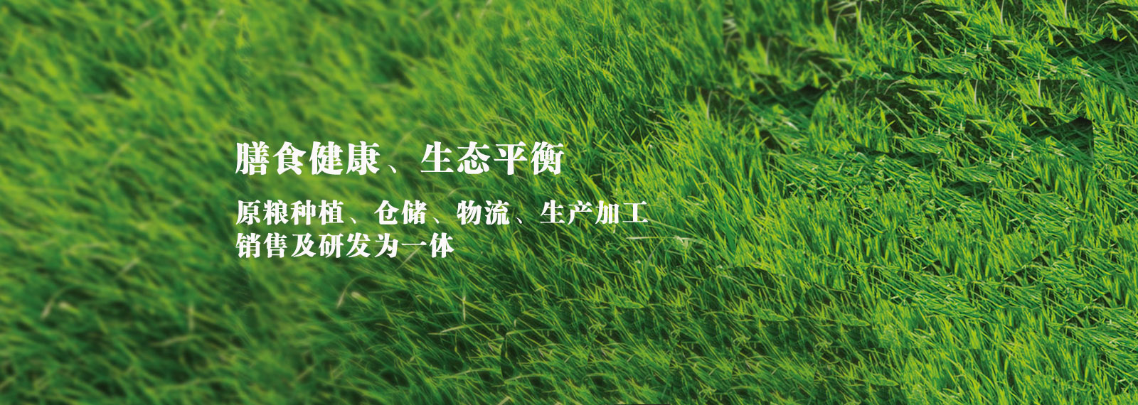 url(http://www.ntcgnj.com/style/banner1.jpg)